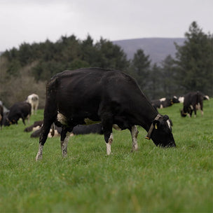 Truly Grass Fed™ IRISH WHEY