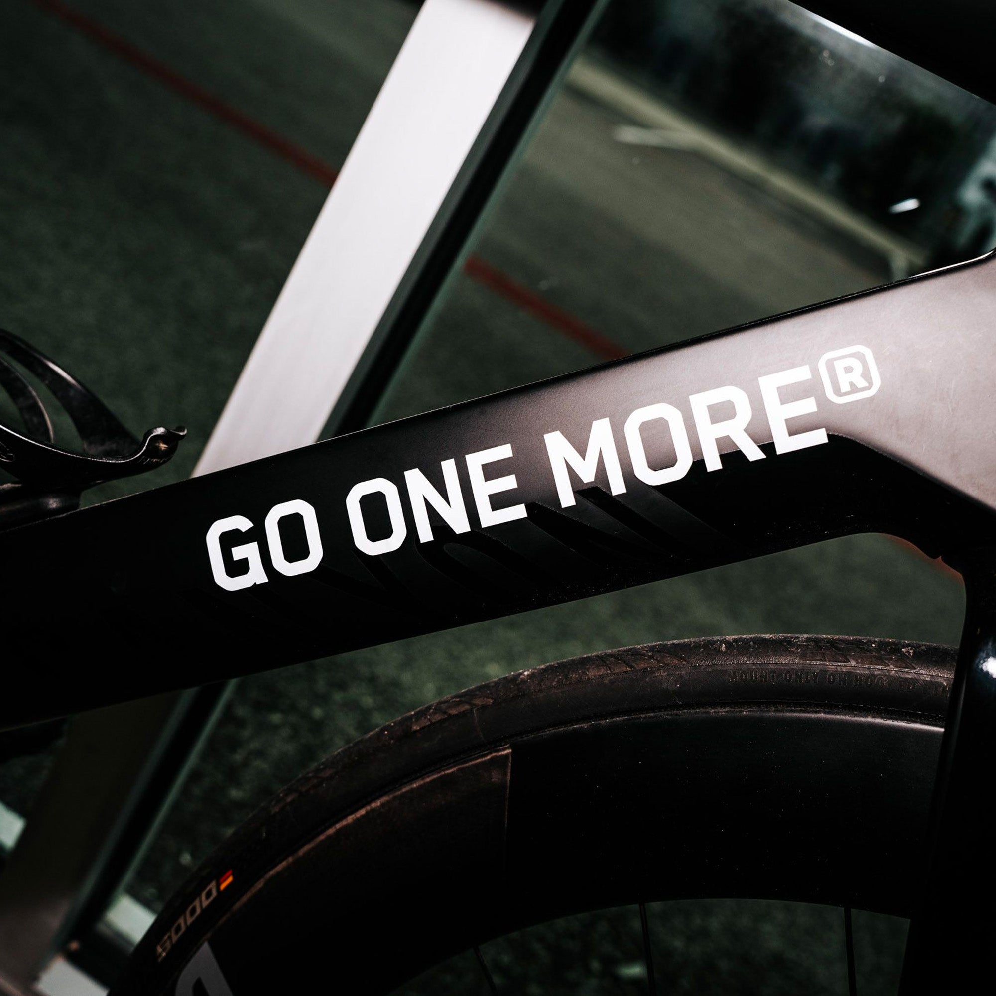 One more bicycle outlet